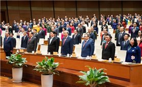 Khai mạc Kỳ họp thứ Nhất, Quốc hội khóa XVI