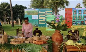 Người miền Tây tìm sinh kế thích ứng với môi trường sống