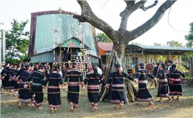 Gia Lai phục dựng nhiều nghi lễ truyền thống của đồng bào DTTS