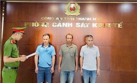 Thanh Hóa khởi tố 3 “đất tặc”
