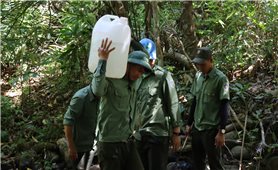 Thiếu nước, nhân viên bảo vệ rừng ở Quảng Ngãi phải lấy nước suối về sinh hoạt