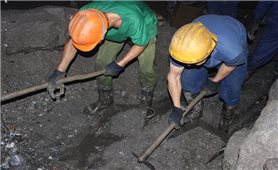 Bộ LĐTB&XH ban hành Danh mục ngành, nghề học nặng nhọc, độc hại, nguy hiểm trình độ trung cấp, trình độ cao đẳng