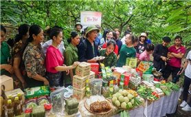 Thái Nguyên nỗ lực đưa nông sản lên sàn thương mại điện tử