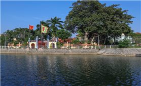 Vĩnh Phúc giữ gìn, phát huy giá trị cây di sản