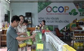 Nhiều sản phẩm OCOP của Yên Bái vẫn khó vào siêu thị