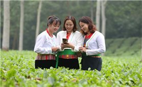 Ngân hàng Chính sách xã hội: Tọa đàm “Tăng cường tài chính số - Thúc đẩy tài chính toàn diện cho các nhóm yếu thế tại Việt Nam”