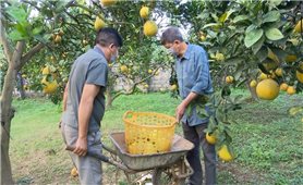 TP. Thái Nguyên: Thực hiện tốt chính sách dân tộc là ”chìa khóa” nâng cao đời sống cho đồng bào DTTS