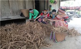 Đồng Hỷ (Thái Nguyên): Đổi thay mạnh mẽ sau 5 năm thực hiện Quyết tâm thư Đại hội DTTS lần thứ III