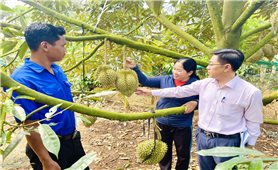 Phòng Giao dịch Ngân hàng Chính sách xã hội (NHCSXH) huyện Lắk (Đắk Lắk): Triển khai nhiều chương trình tín dụng hiệu quả, giúp đồng bào DTTS