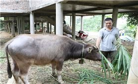 Thái Nguyên: Củng cố niềm tin của Nhân dân thông qua các chính sách giảm nghèo