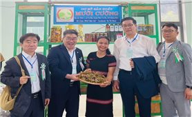 HTX của cô gái Ca Dong với kho dược liệu vùng cao