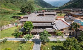 Kinh tế tập thể vùng đồng bào DTTS: Động lực mới cho phát triển bền vững