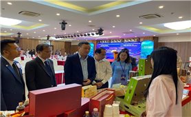 Chuyển đổi số mở lối tiêu thụ nông sản vùng đồng bào dân tộc thiểu số