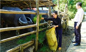 Quảng Ngãi triển khai hiệu quả Chỉ thị 39 trong giai đoạn mới