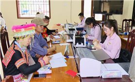 Ngân hàng CSXH tỉnh Tuyên Quang: Quyết tâm hoàn thành 100% chỉ tiêu tín dụng chính sách trước 15/12