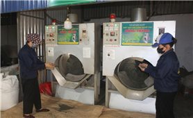 Chè Thái Nguyên bứt phá mạnh mẽ, hướng tới “cây trồng tỷ đô”