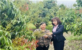 Tín dụng chính sách – trụ cột an sinh, động lực phát triển bền vững tại Đắk Lắk