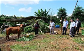 Chính sách hỗ trợ thiết thực tạo 