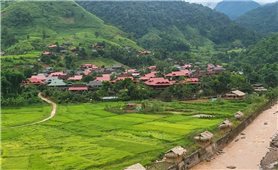 Điện Biên: Thoát nghèo bền vững từ những quyết sách sáng tạo