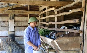 Lâm Đồng: Giảm nghèo bền vững, hướng tới phát triển toàn diện