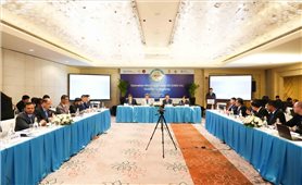 Hải quan Việt Nam tổng kết Chiến dịch Con rồng Mê Kông 7