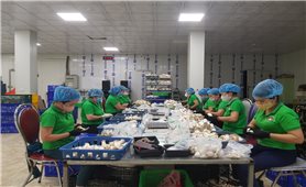 Phú Thọ: OCOP – Kích cầu nông sản, kết nối du lịch