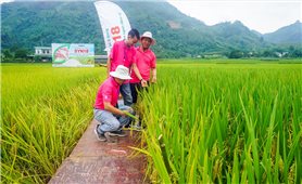 Thái Nguyên: Huy động đồng bộ nguồn lực, phát triển sinh kế gắn với chuyển đổi xanh