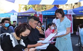 Thái Nguyên: Tăng cường đào tạo nghề, giải quyết việc làm cho lao động vùng đồng bào DTTS và miền núi