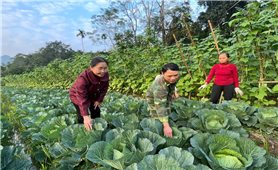 Tuyên Quang: Người có uy tín góp phần đổi thay thôn nghèo