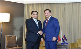 Nâng cao hơn nữa hiệu quả hợp tác kinh tế, thương mại, đầu tư Việt Nam-Campuchia
