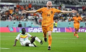 World Cup 2022: Hà Lan khẳng định vị thế số 1 bảng A