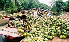 Xuất khẩu dừa tiếp cận mốc tỷ USD