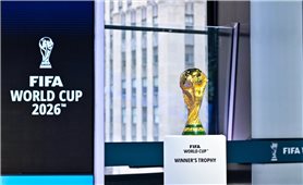 Công bố thương hiệu và Logo chính thức của World Cup 2026