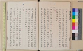 Viện Nghiên cứu Hán Nôm thất lạc hơn 100 sách quý