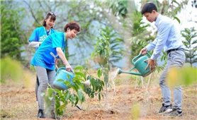 Đắk Nông: Dự kiến trồng hơn 163.000 cây xanh mừng ngày sinh nhật Bác