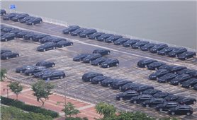 Hình ảnh những mẫu xe chở đại biểu APEC 2017 tại Đà Nẵng