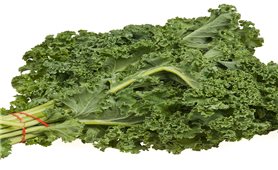 Thu nhập cao từ trồng rau cải xoăn Kale
