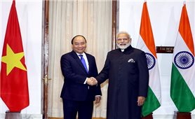 Thủ tướng Nguyễn Xuân Phúc hội đàm với Thủ tướng Ấn Độ Narendra Modi