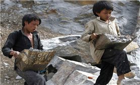 Việt Nam hiện có 1,75 triệu lao động trẻ em