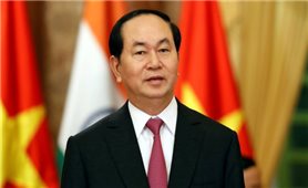 Chủ tịch nước Trần Đại Quang thăm cấp Nhà nước Cộng hòa Ấn Độ