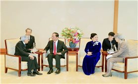 Chủ tịch nước và Phu nhân hội kiến Nhà vua và Hoàng hậu Nhật Bản
