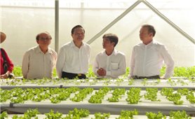 Phát triển nông nghiệp công nghệ cao ở Bình Phước: Những bước đi tự tin