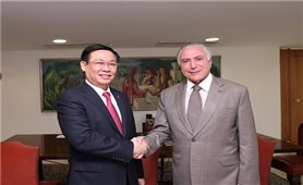 Thúc đẩy quan hệ đối tác toàn diện Việt Nam-Brazil đi vào chiều sâu