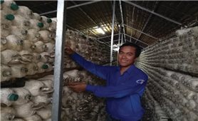 Khát vọng khởi nghiệp của một thanh niên Khmer