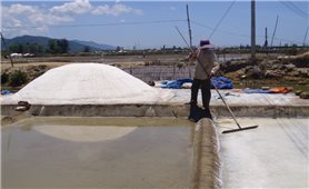 Diêm dân Sa Huỳnh lo lắng khi bị thu hồi đất làm muối