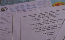 Gia Lai: Tái diễn tình trạng giả danh bán tài liệu an toàn thực phẩm