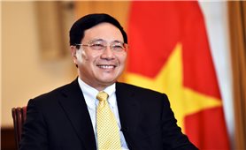 Ngoại giao Việt Nam: Chủ động, sáng tạo, hiệu quả thực hiện thắng lợi Nghị quyết đại hội Đảng lần thứ XII