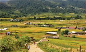 Sử dụng Amiăng trắng tại Việt Nam: Bài 2: Áp dụng đồng bộ nhiều giải pháp để loại trừ