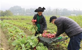 Nhân rộng mô hình giảm nghèo: Bắt đầu từ ý thức của người dân