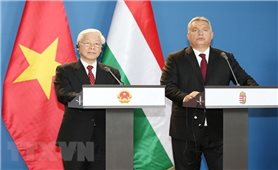 Tuyên bố chung Việt Nam - Hungary thiết lập quan hệ Đối tác toàn diện